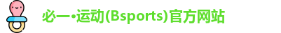 bsports登录官网入口